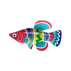 Easter Killifish